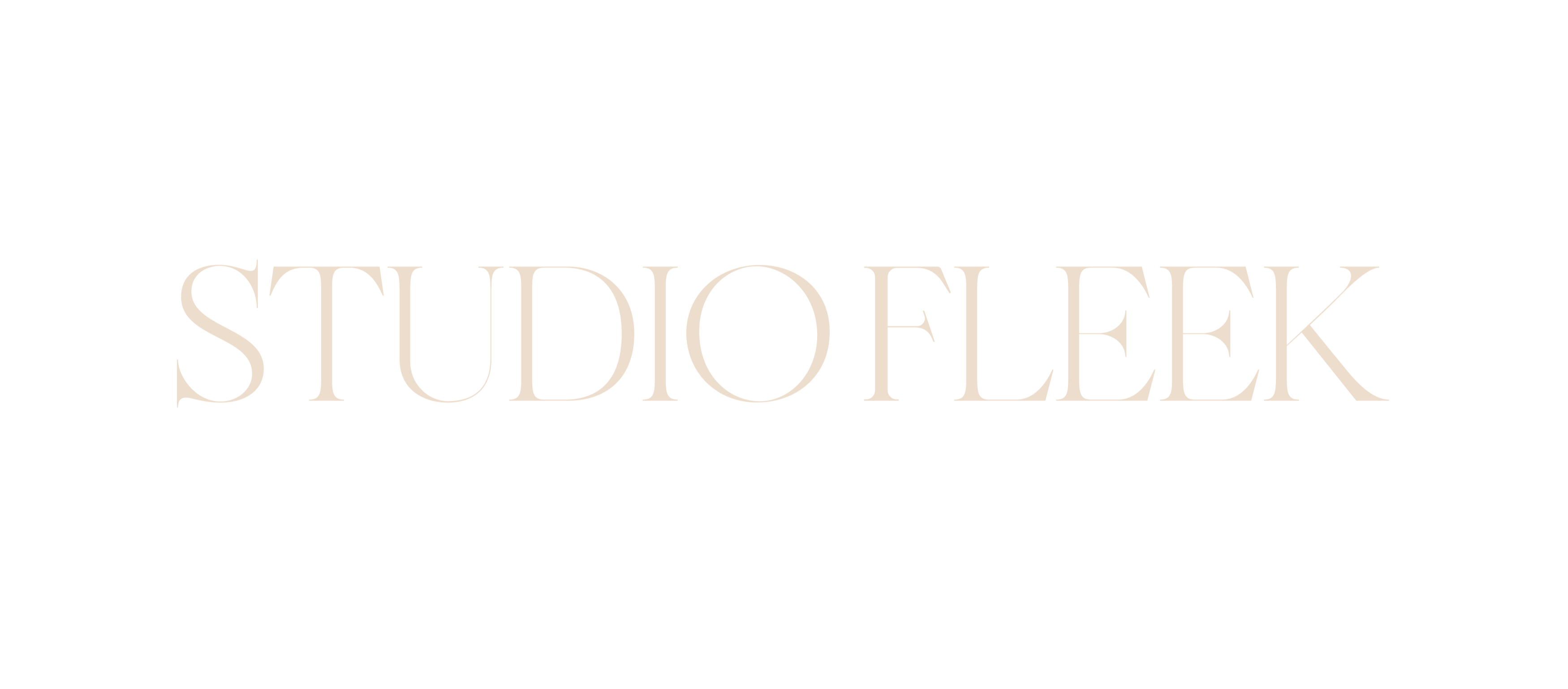 Studiofleek